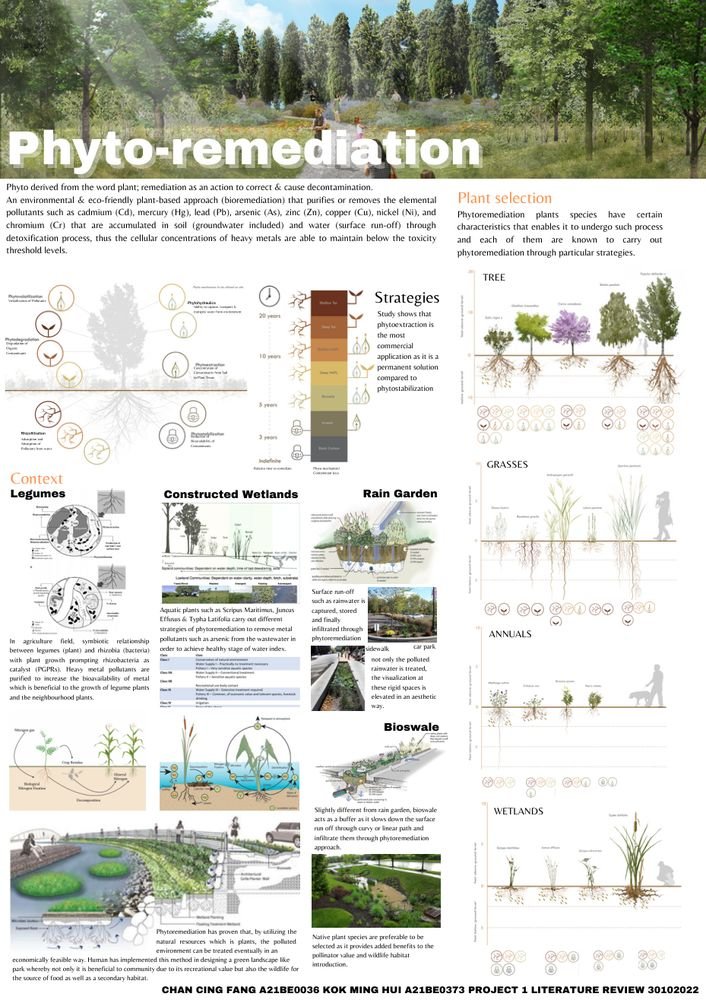 Phyto-remediation review cover