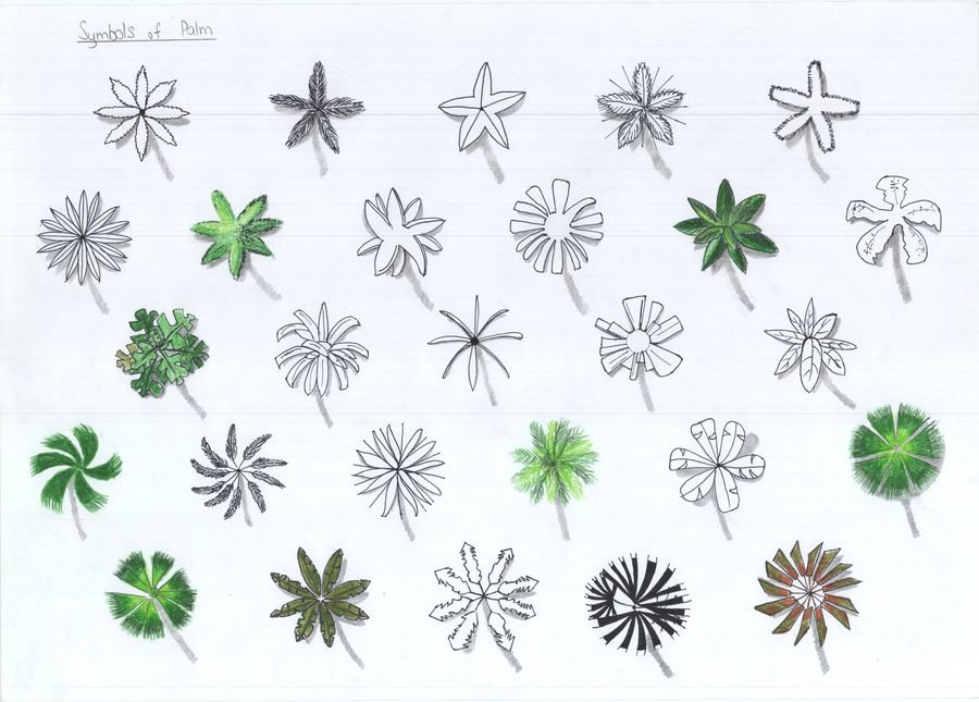 Palm symbol drawing practice