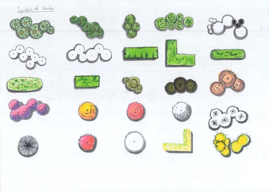 Shrub symbol drawing practice