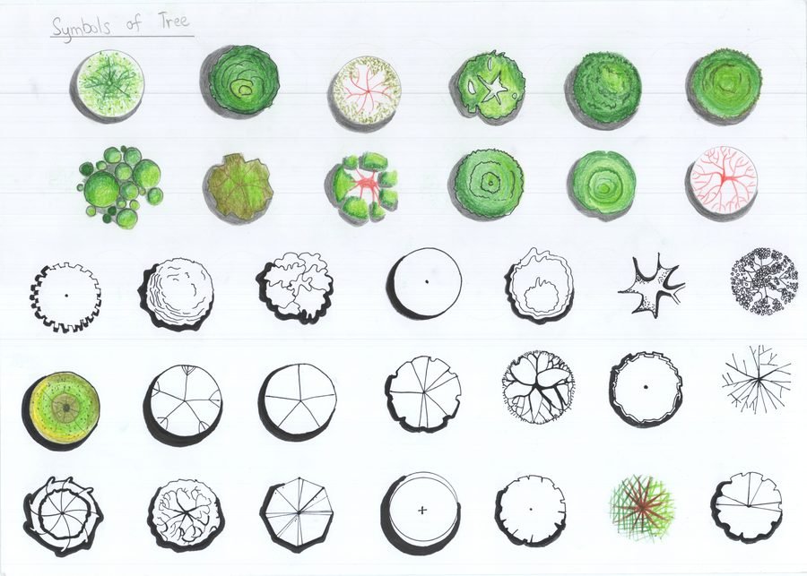Tree symbol drawing practice